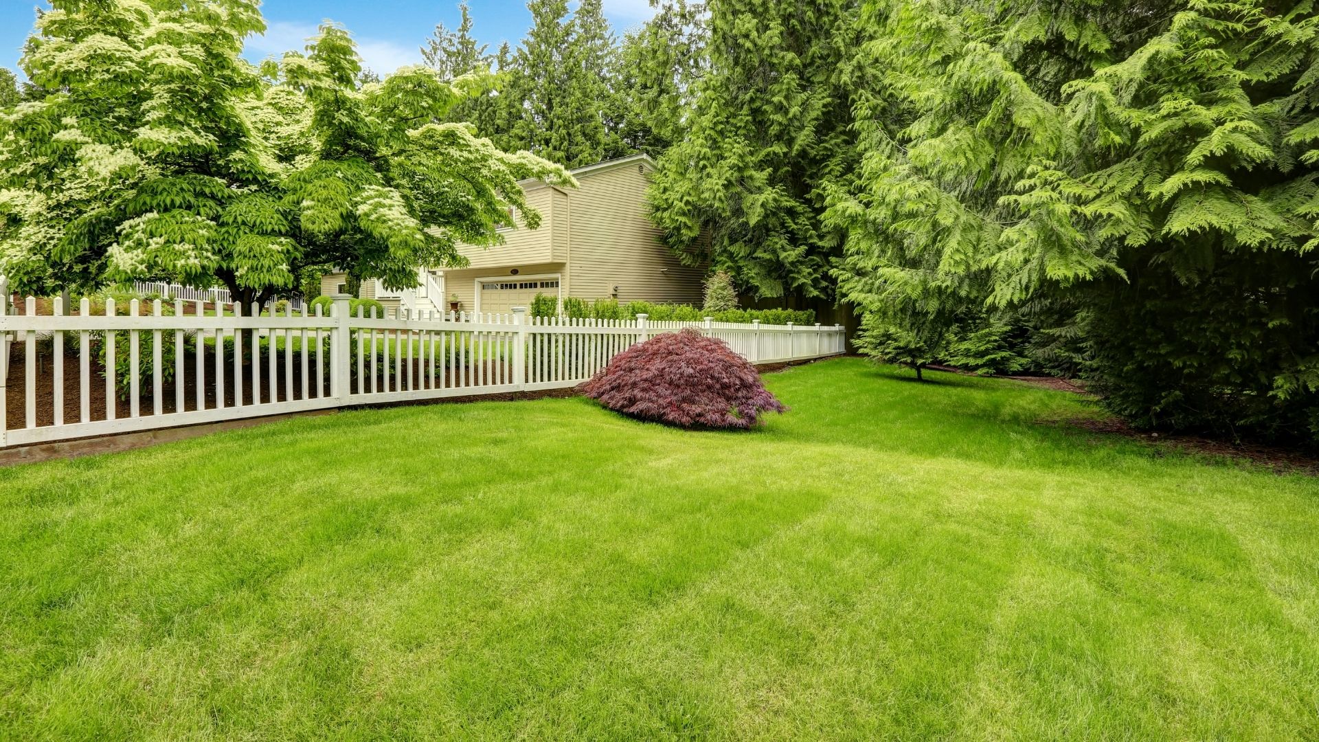 Maintained lawn and beds