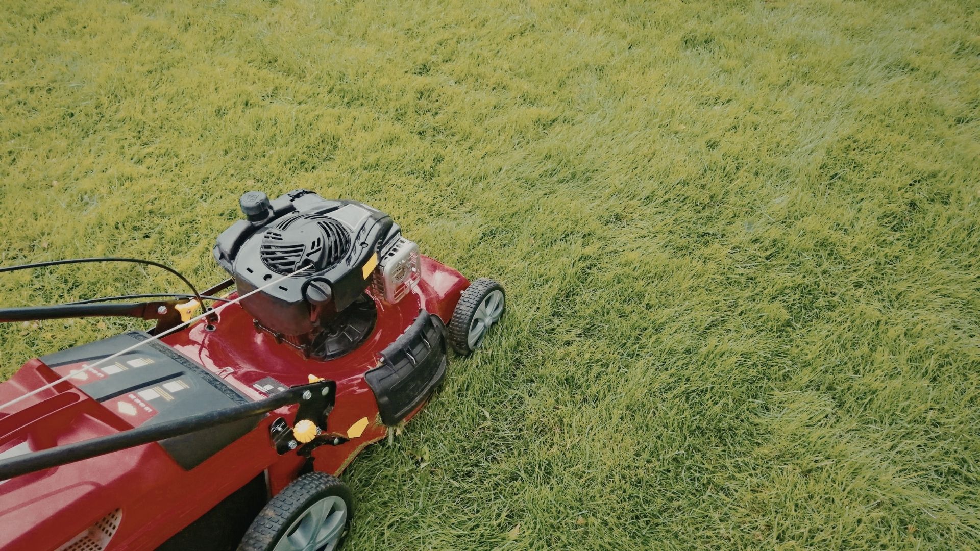 Property landscape care