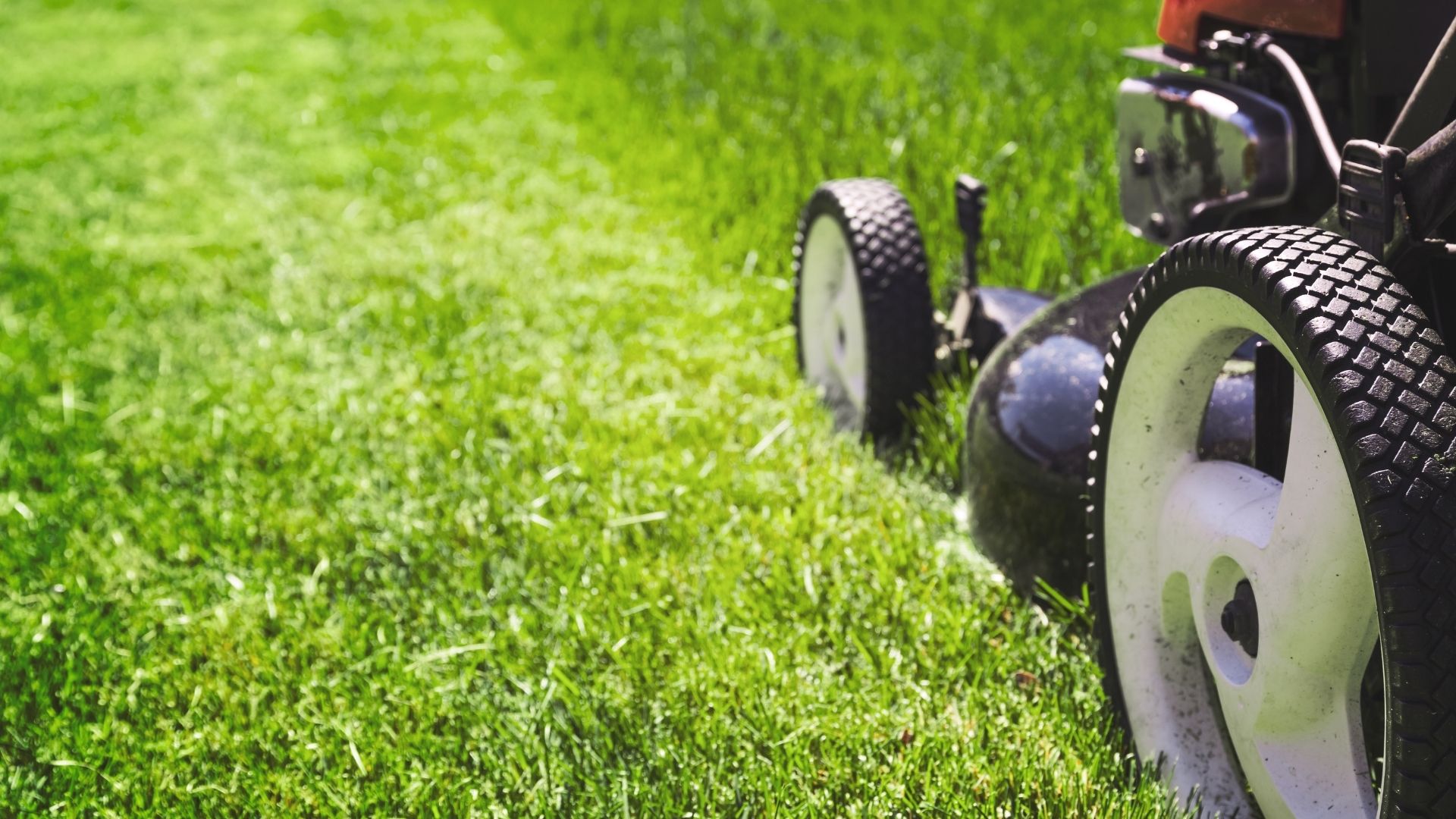 Landscaping questions and answers