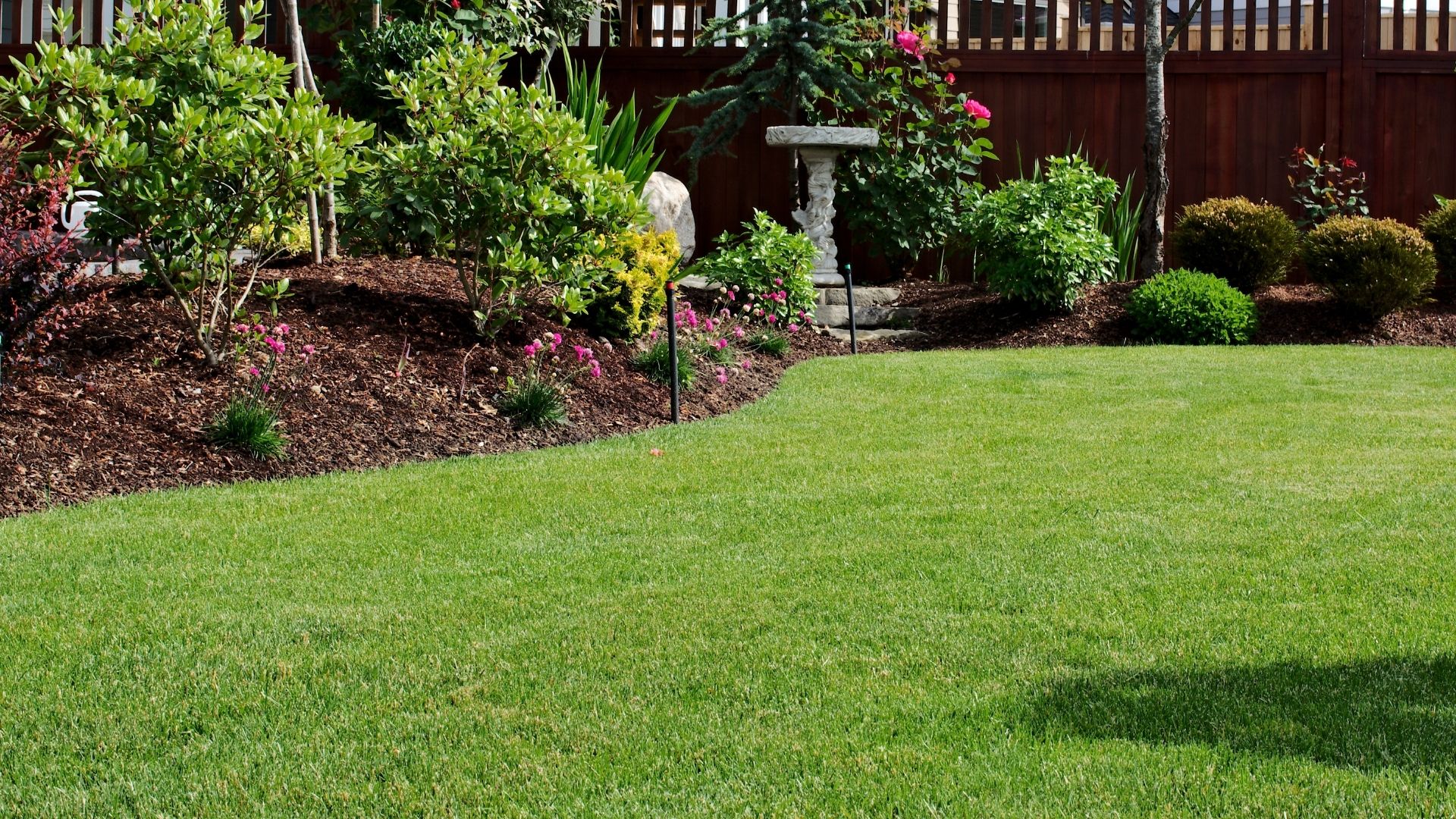 Maintained lawn service area